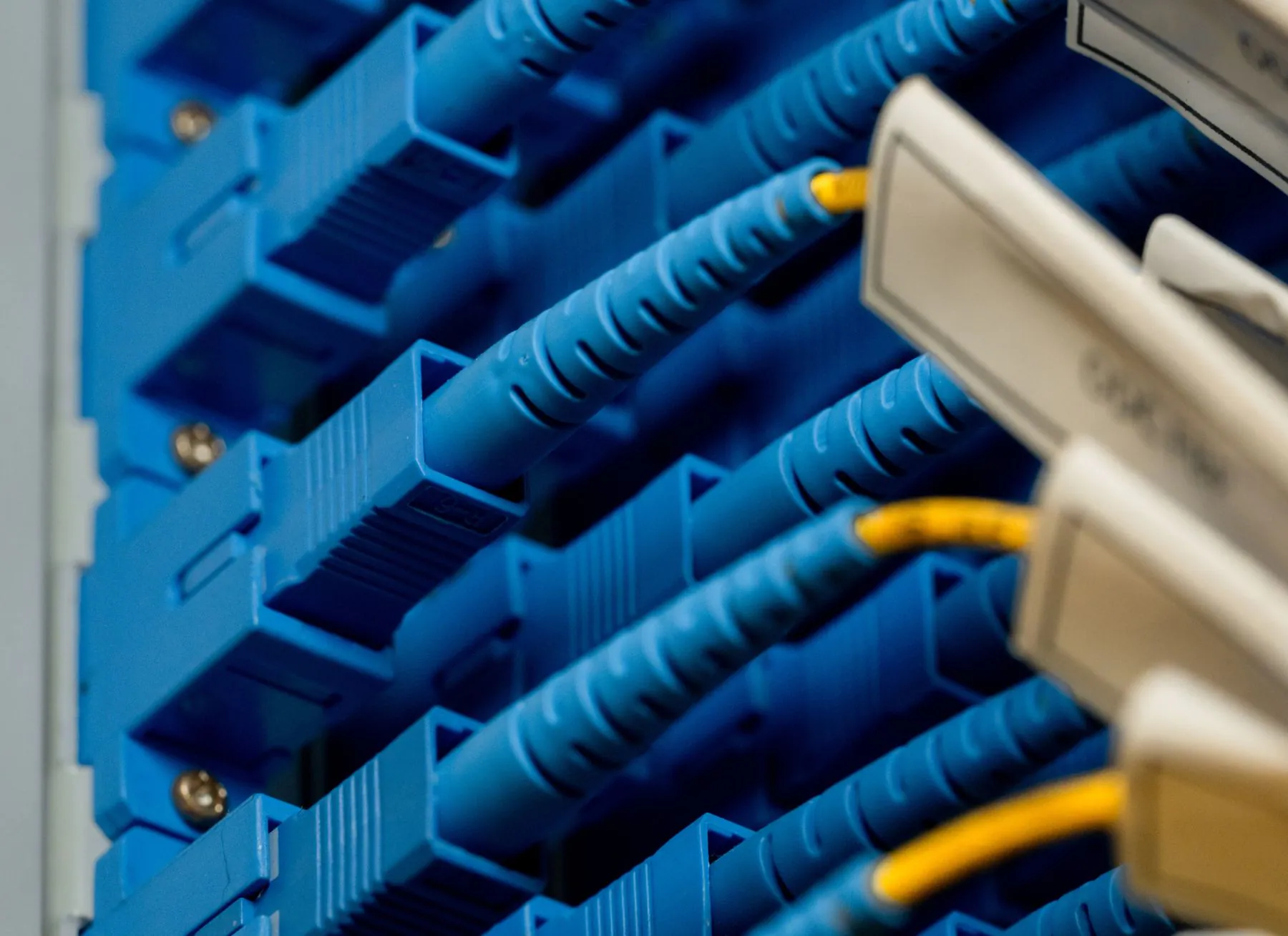 Telkom Luncurkan Program ESG 2024 sebagai Bagian Transformasi TelkomGroup