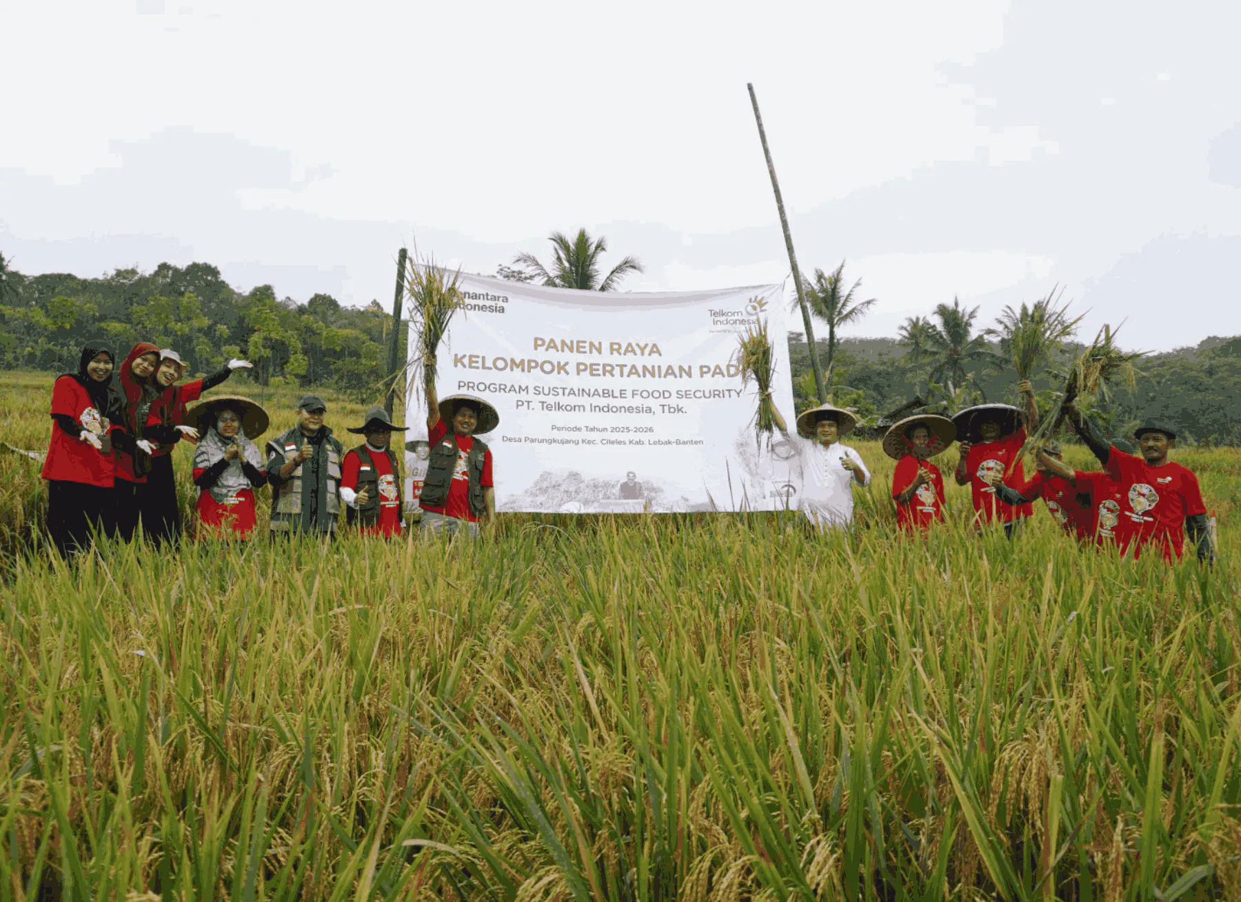 Bangun Keberlanjutan Pangan, Telkom Laksanakan Program Sustainable Food Security di Desa Parungkujang