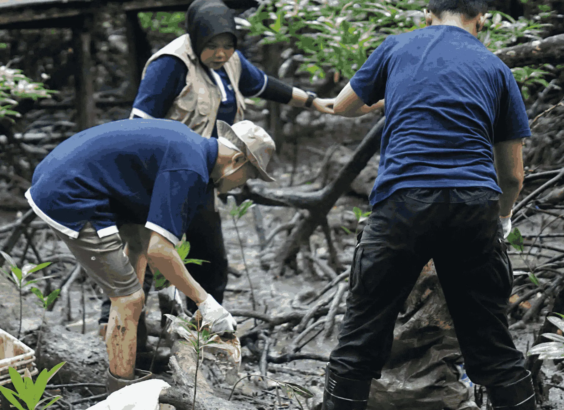 Kolaborasi Telkom dan AYS Indonesia Dorong Pemulihan Ekosistem Alam di Tarakan